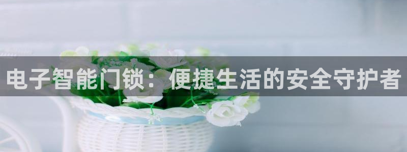 利记买球官网：电子智能门锁：便捷生活的安全守护者