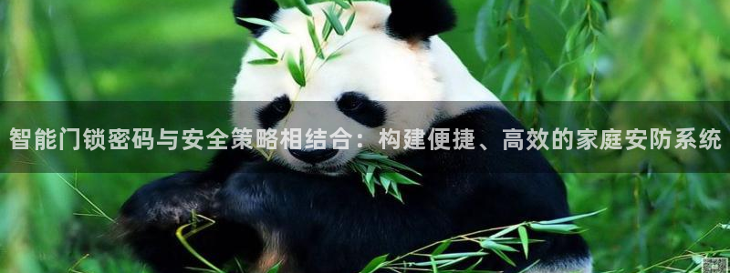 铂利记旗舰店官网：智能门锁密码与安全策略相结合：构建便捷、高