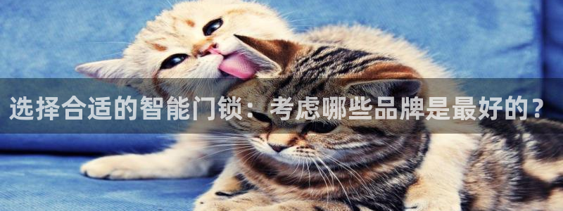 利记手机官网电子mg官方网站：选择合适的智能门锁：考虑哪些品