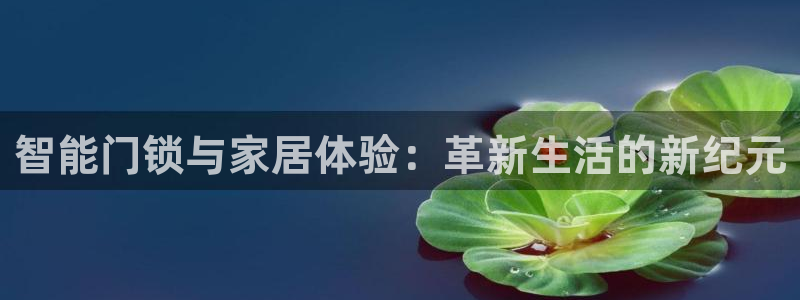 铂利记旗舰店官网：智能门锁与家居体验：革新生活的新纪元