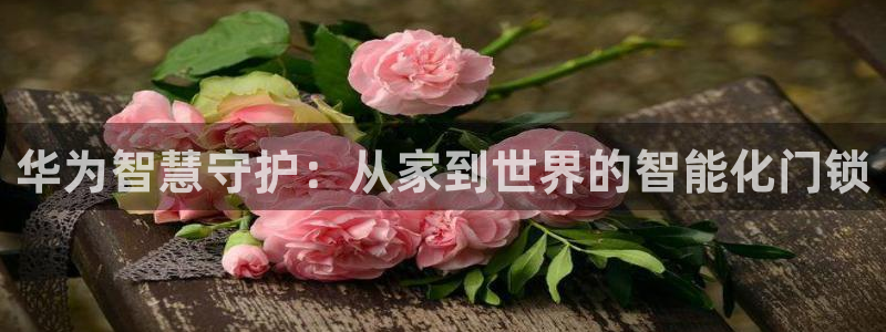 万利记官网电话：华为智慧守护：从家到世界的智能化门锁
