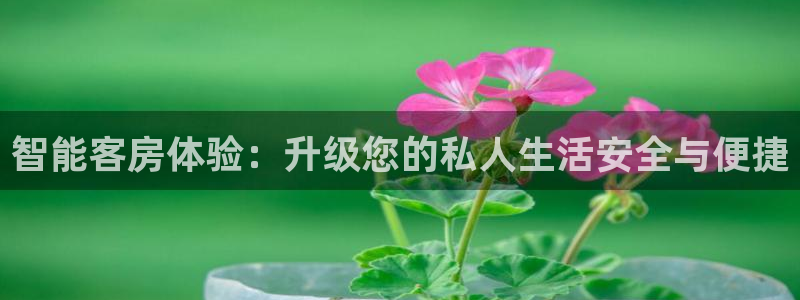 利记厨具官网售后：智能客房体验：升级您的私人生活安全与便捷