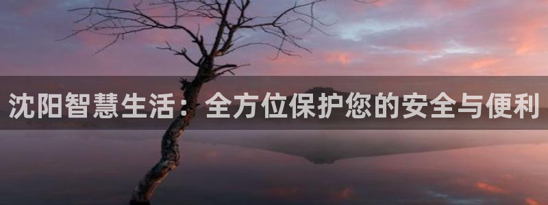 利记官网app：沈阳智慧生活：全方位保护您的安全与便利