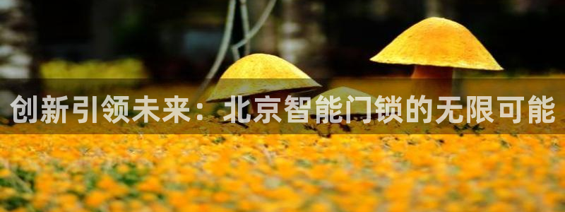 利记官网加盟：创新引领未来：北京智能门锁的无限可能