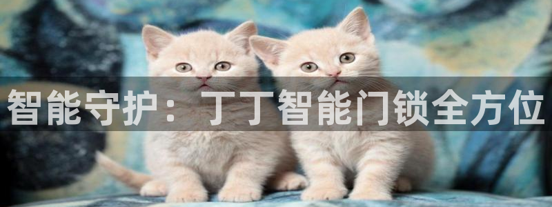 利记手机官网：智能守护：丁丁智能门锁全方位