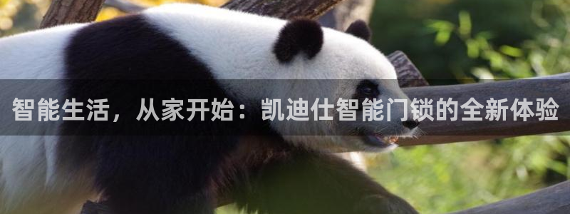 万利记官方旗舰店官网：智能生活，从家开始：凯迪仕智能门锁的全