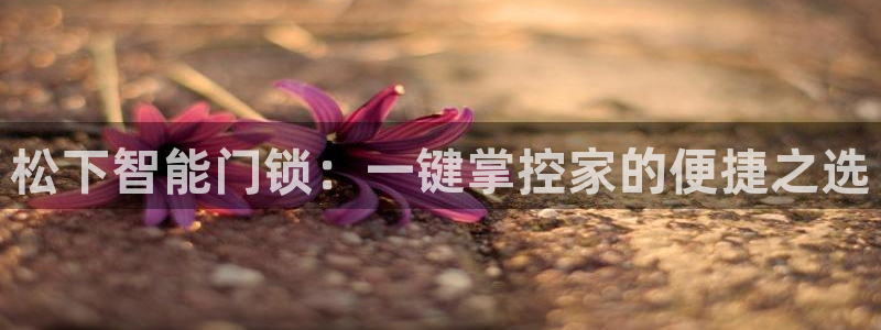 万利记官方旗舰店官网：松下智能门锁：一键掌控家的便捷之选