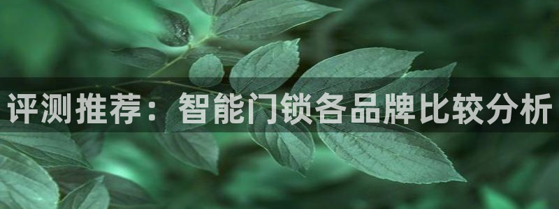 利记网官网：评测推荐：智能门锁各品牌比较分析