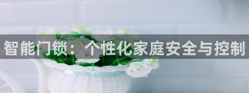 万利记官方旗舰店官网：智能门锁：个性化家庭安全与控制