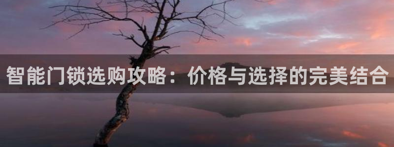 sbotop利记官网：智能门锁选购攻略：价格与选择的完美结合