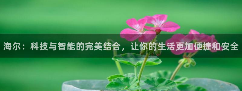 利记app官方官网登录：海尔：科技与智能的完美结合，让你的生
