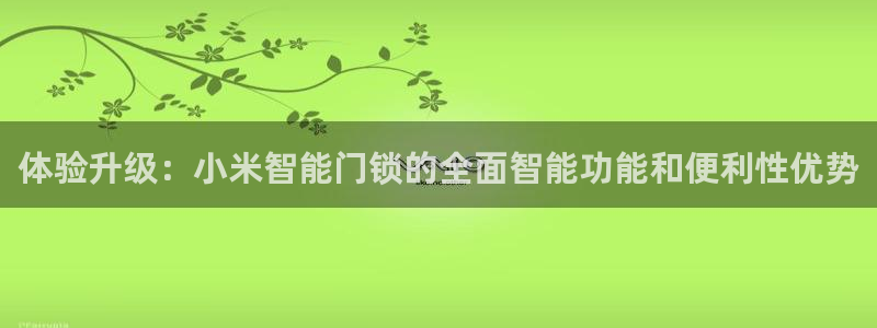 利记彩票网网址官网hd71：体验升级：小米智能门锁的全面智能