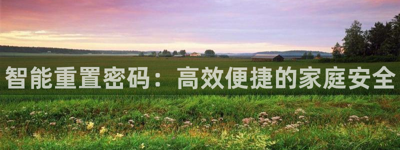 sbo利记体育官网：智能重置密码：高效便捷的家庭安全