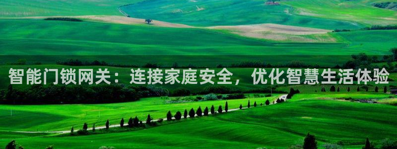 利记官网地址：智能门锁网关：连接家庭安全，优化智慧生活体验