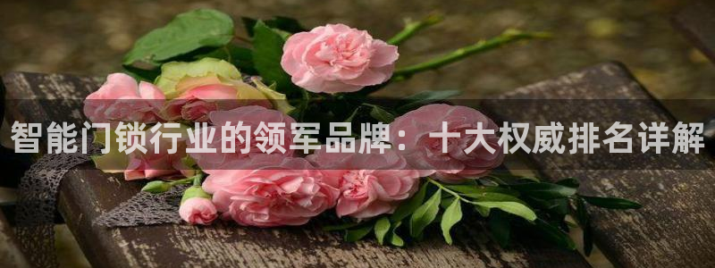 利记游戏开户ysb体育官方官网：智能门锁行业的领军品牌：十大