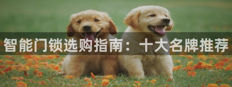 利记坊官网注册账号：智能门锁选购指南：十大名牌推荐