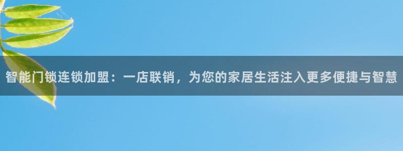 利记网官网网址：智能门锁连锁加盟：一店联销，为您的家居生活注