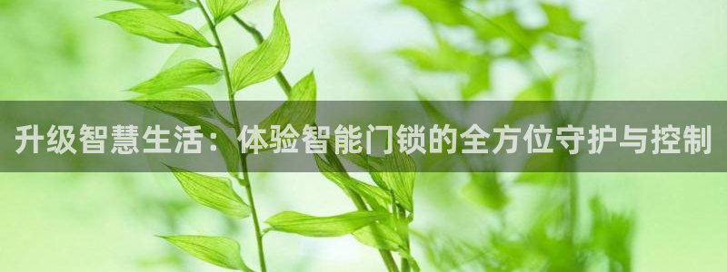 利记正式官网：升级智慧生活：体验智能门锁的全方位守护与控制