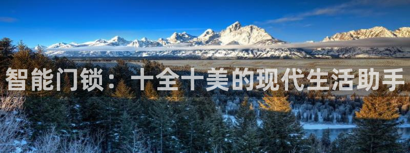 利记官网注册网：智能门锁：十全十美的现代生活助手