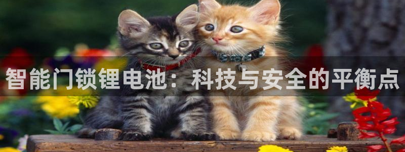 利记官网app下载：智能门锁锂电池：科技与安全的平衡点