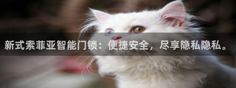 利记官网会员登录：新式索菲亚智能门锁：便捷安全，尽享隐私隐私