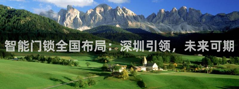 利记官网注册：智能门锁全国布局：深圳引领，未来可期