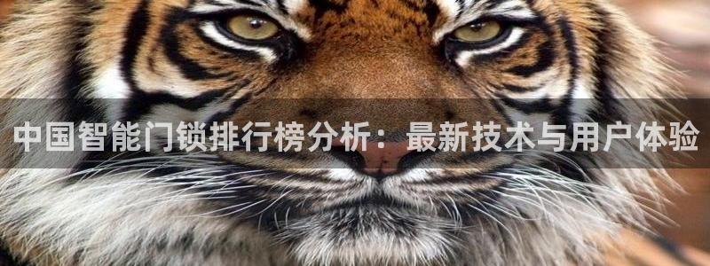 sbobet利记官网登录入口：中国智能门锁排行榜分析：最新技