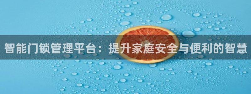 利记体育手机版官网：智能门锁管理平台：提升家庭安全与便利的智