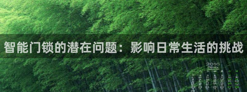 利记国际有限公司官网：智能门锁的潜在问题：影响日常生活的挑战