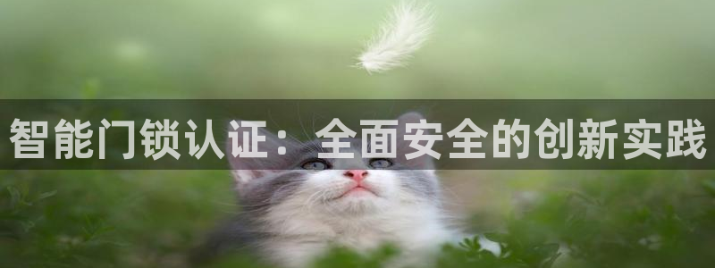 新利记官网：智能门锁认证：全面安全的创新实践