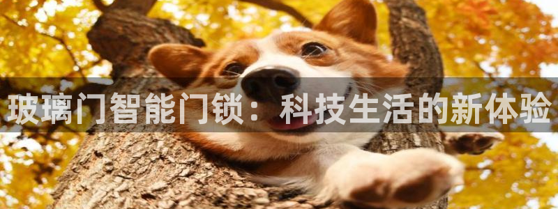 香港利记集团官网地址：玻璃门智能门锁：科技生活的新体验