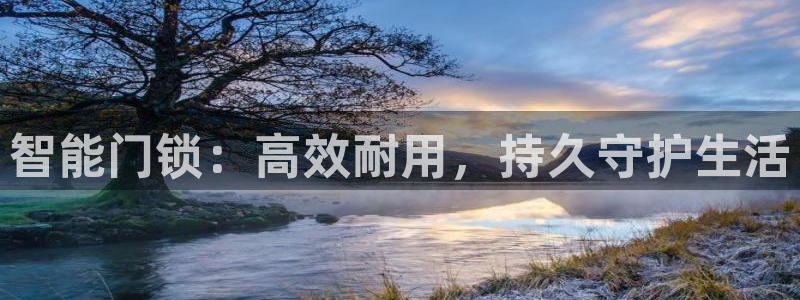 SBOBET利记官网：智能门锁：高效耐用，持久守护生活