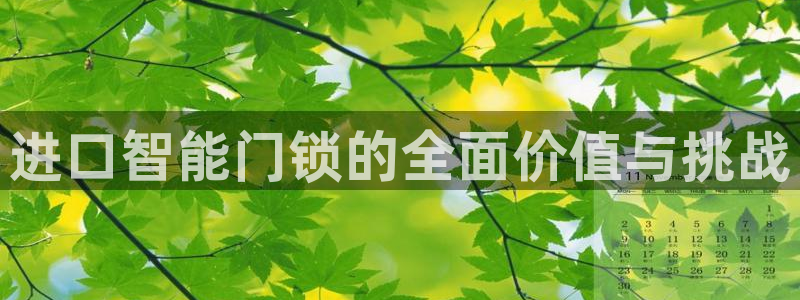 利记彩票官网网址官网hd71：进口智能门锁的全面价值与挑战