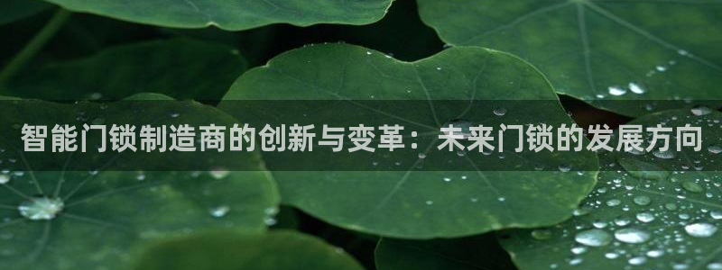 利记官网app下载：智能门锁制造商的创新与变革：未来门锁的发