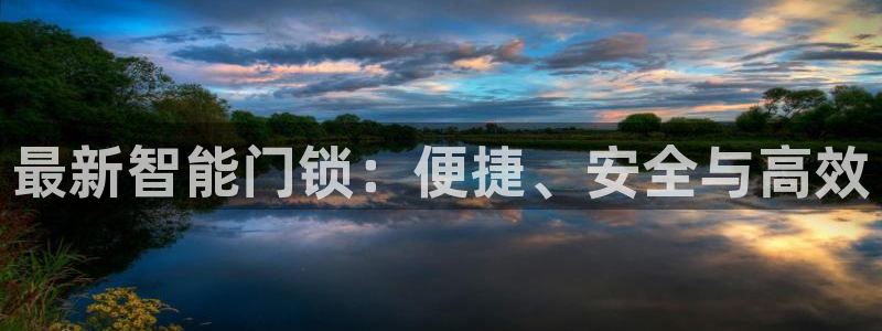 万利记官网：最新智能门锁：便捷、安全与高效