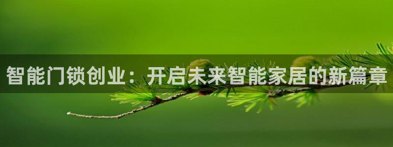 利记娱乐网唯一官网：智能门锁创业：开启未来智能家居的新篇章