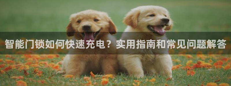 利记官网会员登录：智能门锁如何快速充电？实用指南和常见问题解