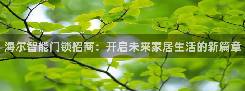 利记官网日亚运比：海尔智能门锁招商：开启未来家居生活的新篇章