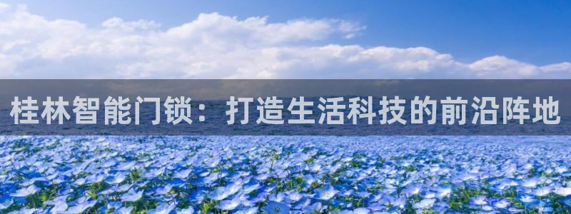 利记国际官网：桂林智能门锁：打造生活科技的前沿阵地