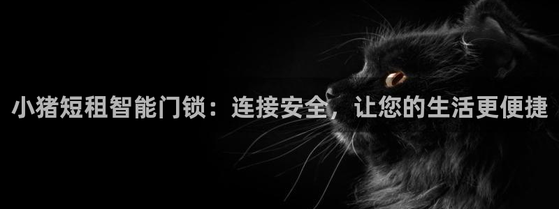 利记彩票官网：小猪短租智能门锁：连接安全，让您的生活更便捷