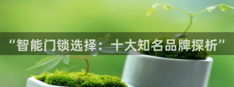 利记官网a：“智能门锁选择：十大知名品牌探析”