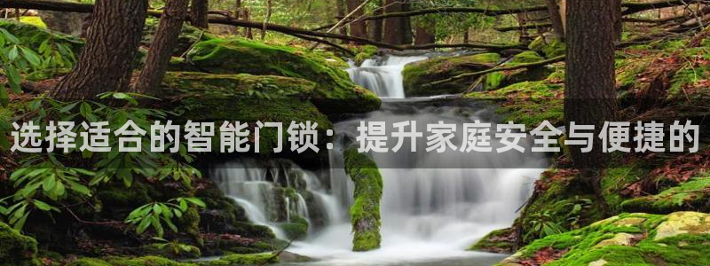 利记坊官网注册：选择适合的智能门锁：提升家庭安全与便捷的
