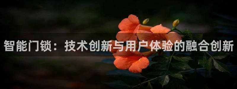 利记体育app官网：智能门锁：技术创新与用户体验的融合创新