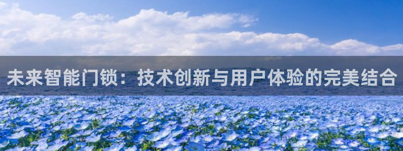 利记官网会员登录：未来智能门锁：技术创新与用户体验的完美结合