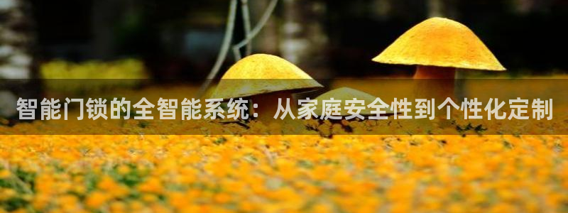 利记体育在线官网：智能门锁的全智能系统：从家庭安全性到个性化