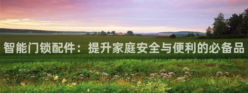利记手机官网电子mg官方网站：智能门锁配件：提升家庭安全与便