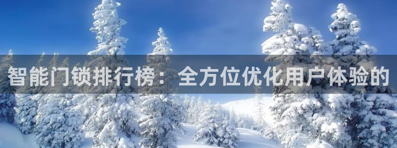 利记国际官网：智能门锁排行榜：全方位优化用户体验的