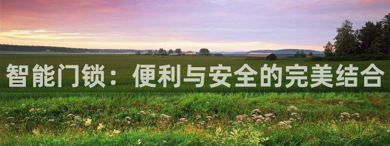 利记 利记官网：智能门锁：便利与安全的完美结合