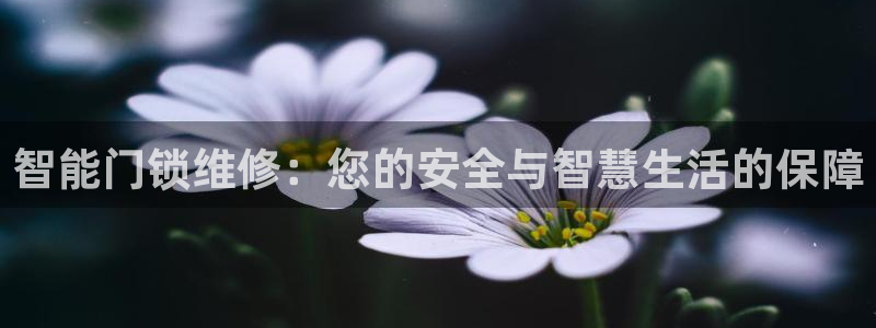 利记娱乐会员金钻官网：智能门锁维修：您的安全与智慧生活的保障