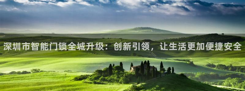 利记坊官网：深圳市智能门锁全城升级：创新引领，让生活更加便捷